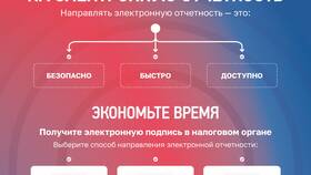 Что означает автономный режим в моем налоге в Пижама Пати