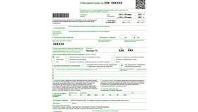 Как оформить полис ОСАГО онлайн в Пижама Пати
