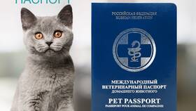 Как получить ветеринарный паспорт для животного в Пижама Пати