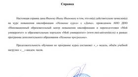 Как правильно оформлять справки: требования и рекомендации в Пижама Пати