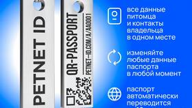 Как расшифровываются данные в паспорте в Пижама Пати