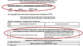 Как узнать дату ликвидации ООО в Пижама Пати