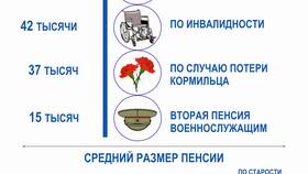 Как узнать размер страховой пенсии в Пижама Пати