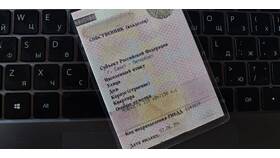 Как восстановить СТС через Госуслуги в Пижама Пати