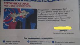 Как вывести деньги с подарочной карты Ozon в Пижама Пати
