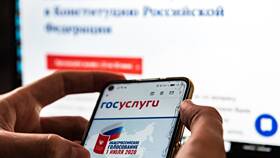 Можно ли использовать Госуслуги вместо паспорта в Пижама Пати