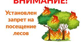 Почему устанавливаются запреты в Пижама Пати