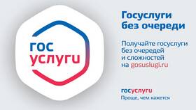 Почему в Госуслугах не открываются услуги в Пижама Пати